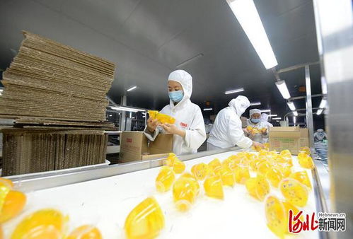 河北邱县获全省2021年度绩效考核同类县a等次第一名